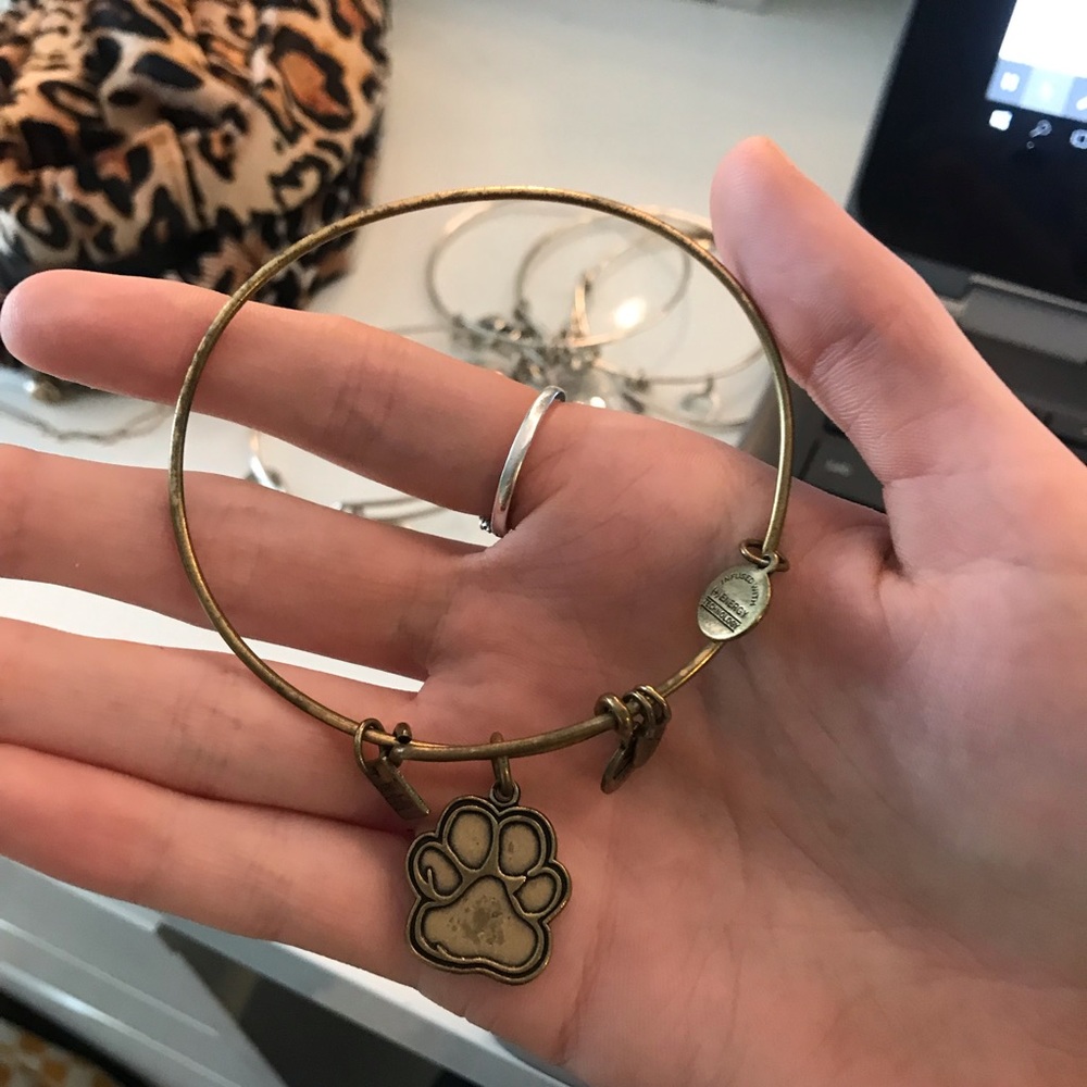 gold paw print alex and ani bracelet